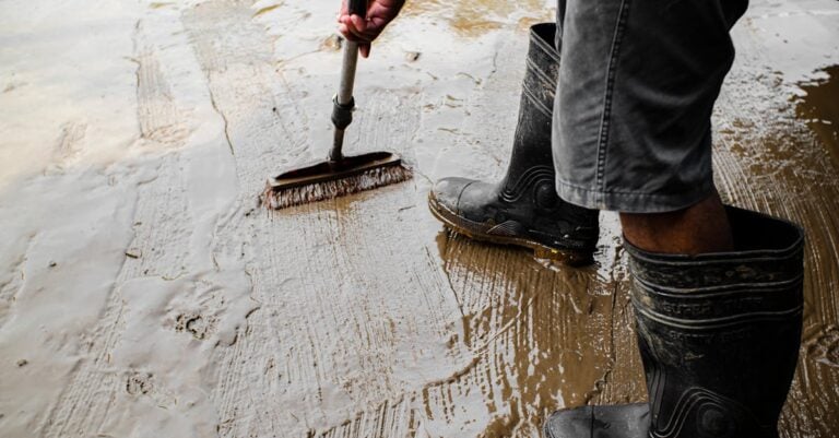 3 Best Boot Brushes for Cleaning Farm Boots That Last for Years