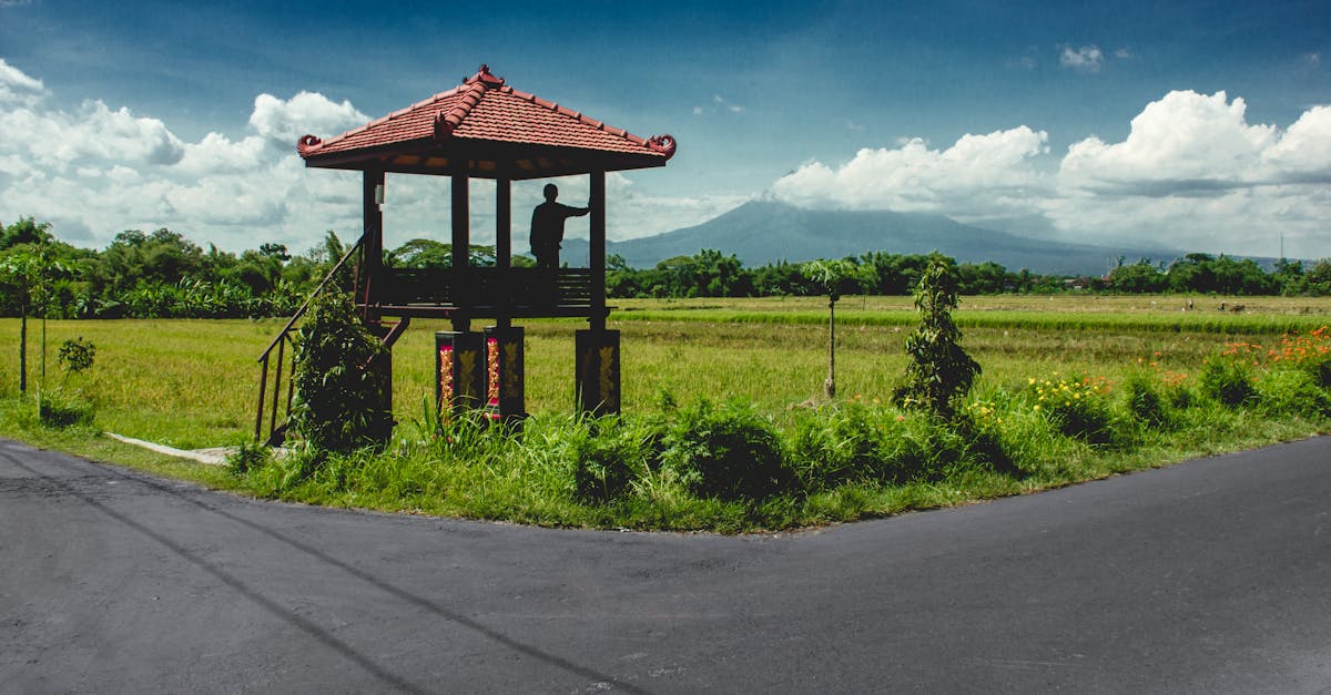 silhouette in a gazebo overlooking fields and mountains under a clear sky
