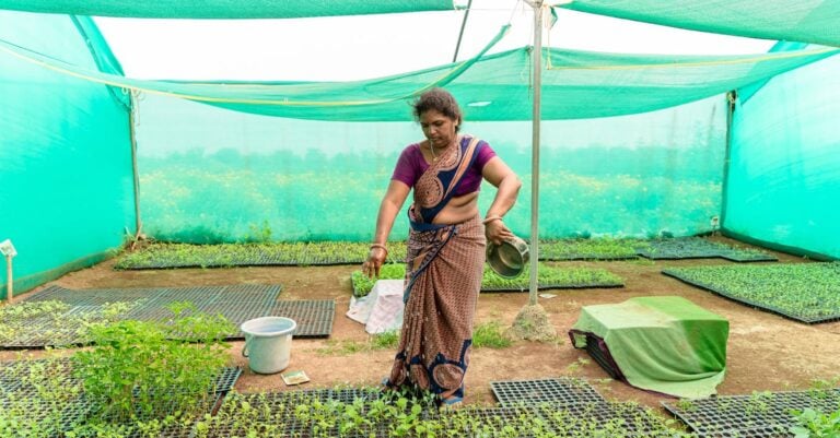 4 Best Lightweight Rain Pants for Harvesting Vegetables That Work All Season