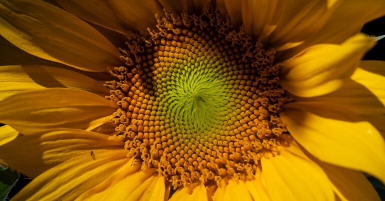 7 Best Pollen Masks for Seasonal Farm Allergies That Save Harvest Time