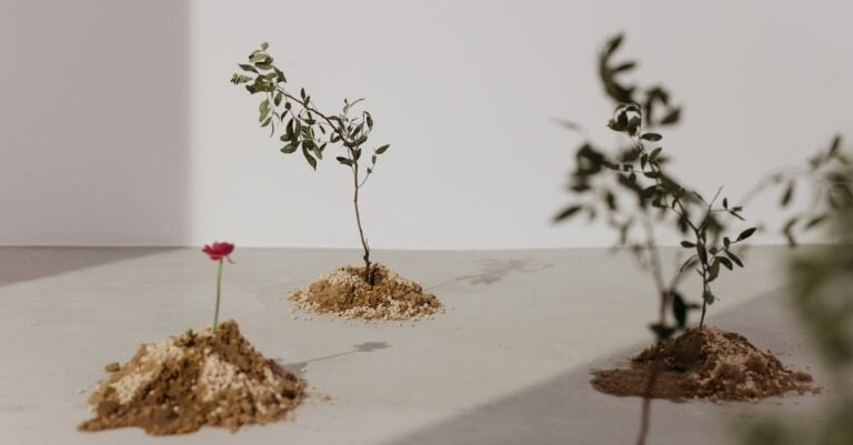 4 Best Potting Mix for Flower Seedlings That Prevent Root Rot