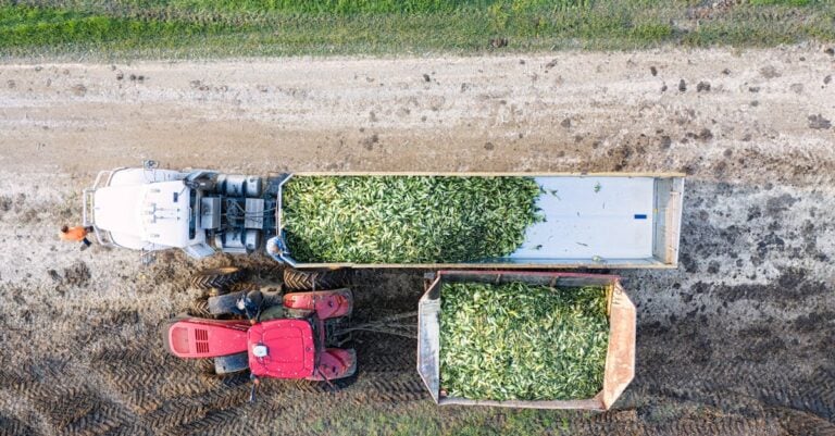 7 Best Trailer Mounted Seeders for Food Plots That Old Hunters Trust