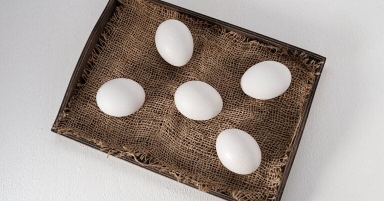 5 Best Rollaway Nesting Boxes for Cleaner Eggs That Prevent Waste
