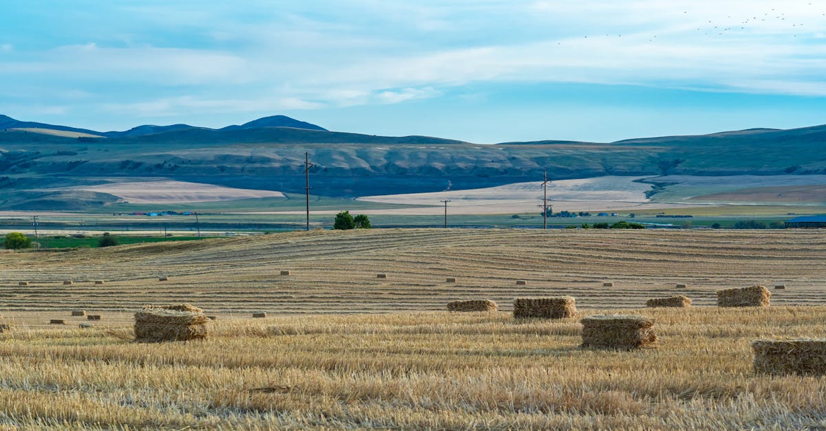 tranquil rural panorama with hay bales and rolling hills in newton utah usa