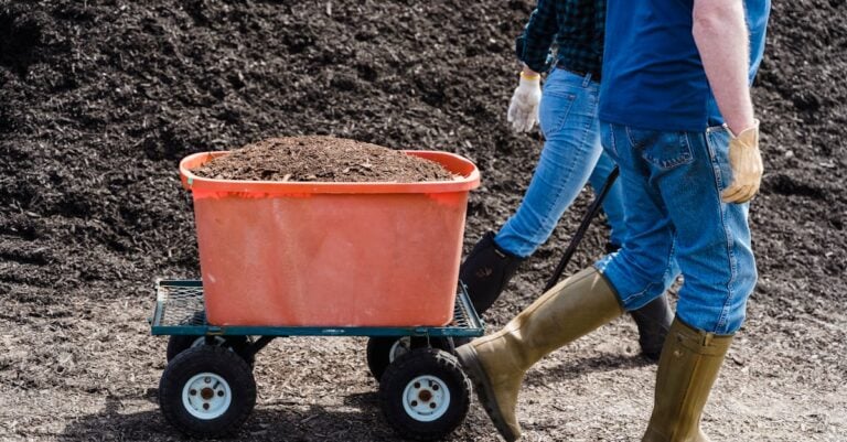 5 Best Animal-Proof Compost Bins for Chicken Farms That Prevent Raids