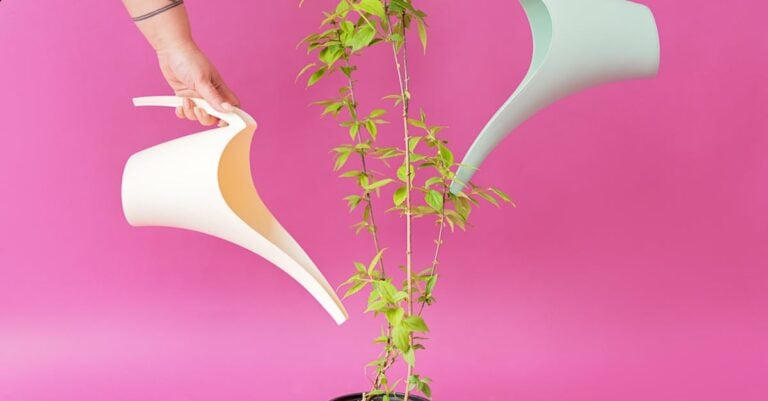 5 Best Insulated Watering Cans for Winter Watering That Prevent Freezing