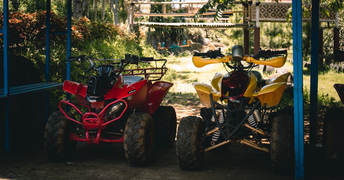 two quad bikes parked under a shaded area surrounded by lush greenery
