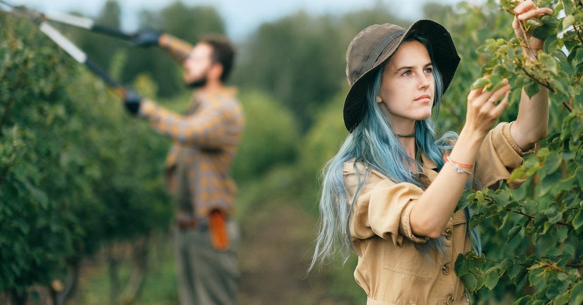 two young adults tending to a vibrant vineyard in a rural setting