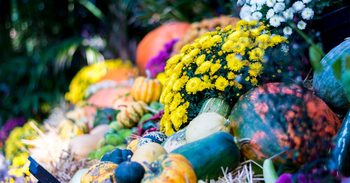 vibrant autumn harvest scene featuring pumpkins gourds and colorful flowers