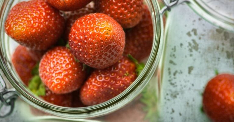 3 Best Food Dehydrators for Preserving Farm Produce That Save Harvests