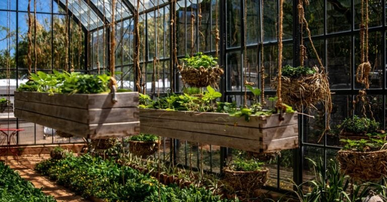 3 Best Hanging Planters for Small Greenhouse Spaces That Maximize Growing Potential