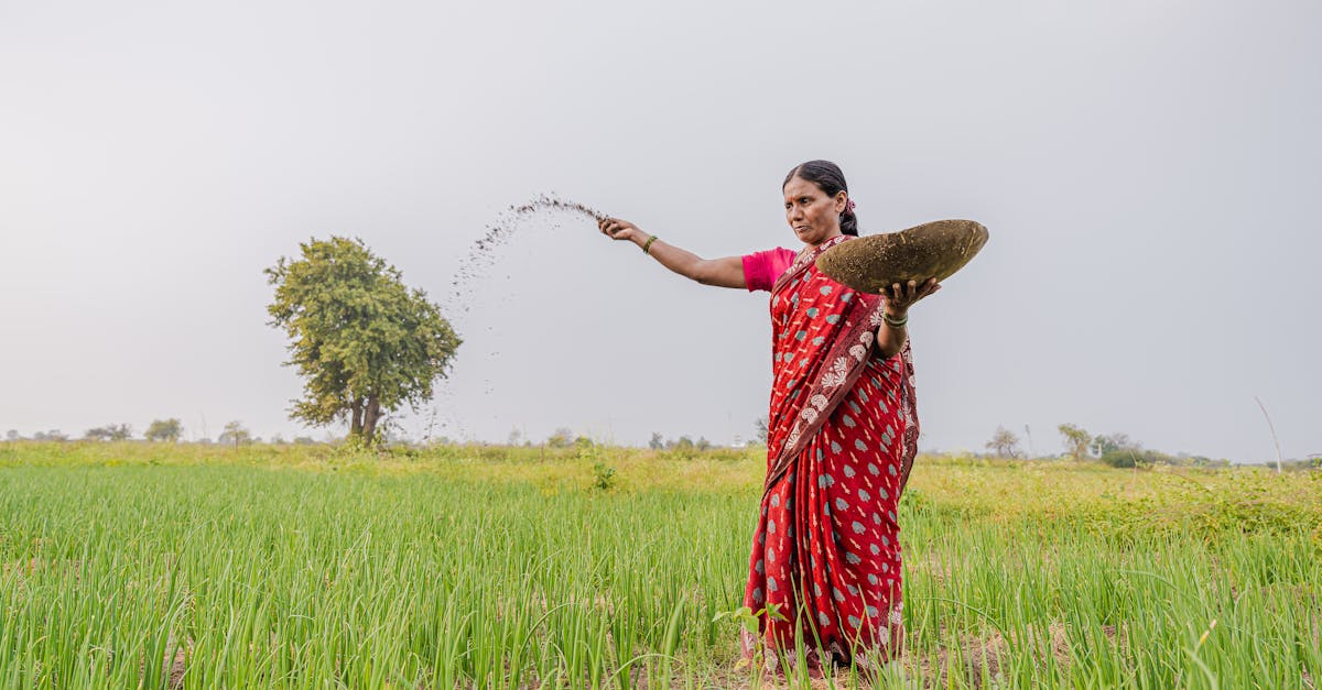 woman farmer in nagpur field spreading fertilizer promoting sustainable farming