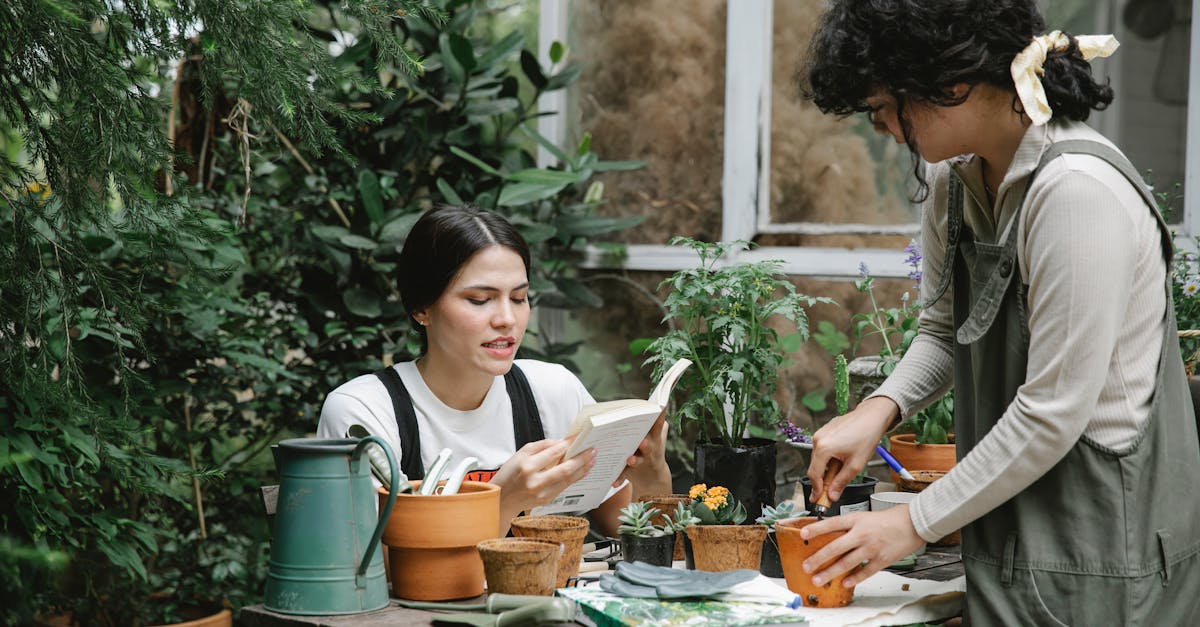 woman sitting at table and reading gardening handbook while colleague planting sprout in peat pot in
