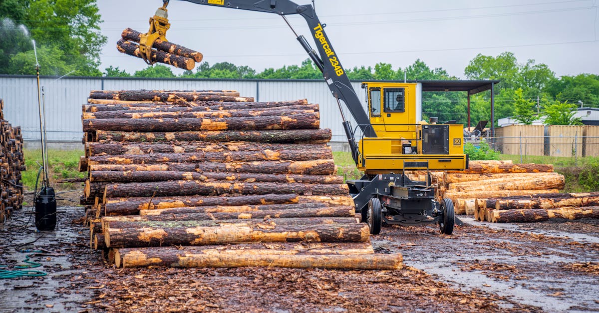 yellow material handler lifting logs at a lumber yard showcasing modern industrial machinery in act
