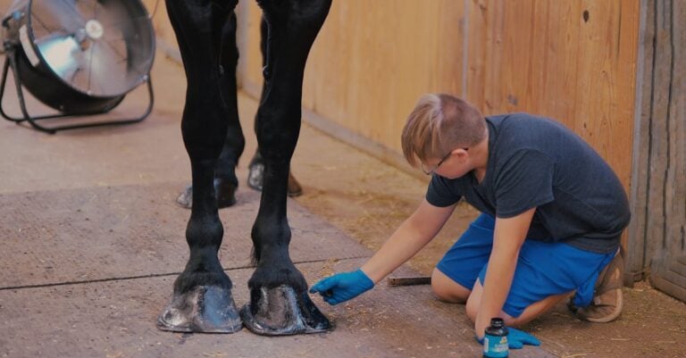 4 Best Horse Stable Fans for Ventilation That Prevent Health Issues